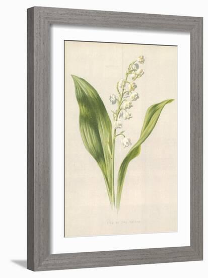 Lily of the Valley-Frederick Edward Hulme-Framed Giclee Print