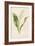 Lily of the Valley-Frederick Edward Hulme-Framed Giclee Print