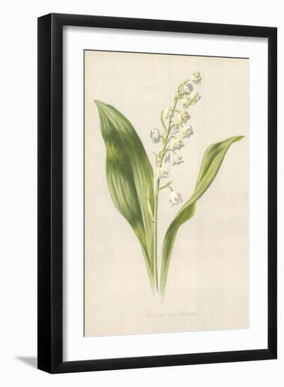 Lily of the Valley-Frederick Edward Hulme-Framed Giclee Print