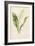 Lily of the Valley-Frederick Edward Hulme-Framed Giclee Print