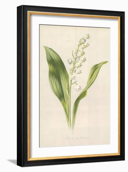 Lily of the Valley-Frederick Edward Hulme-Framed Giclee Print