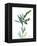 Lily of the Valley-Albert Koetsier-Framed Stretched Canvas