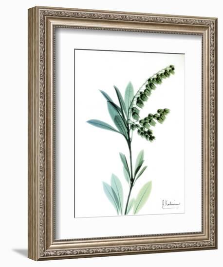 Lily of the Valley-Albert Koetsier-Framed Art Print