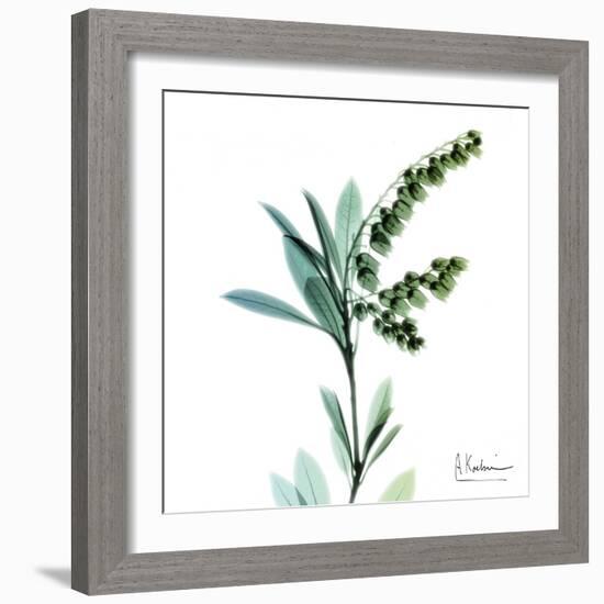 Lily of the Valley-Albert Koetsier-Framed Art Print