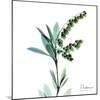 Lily of the Valley-Albert Koetsier-Mounted Art Print