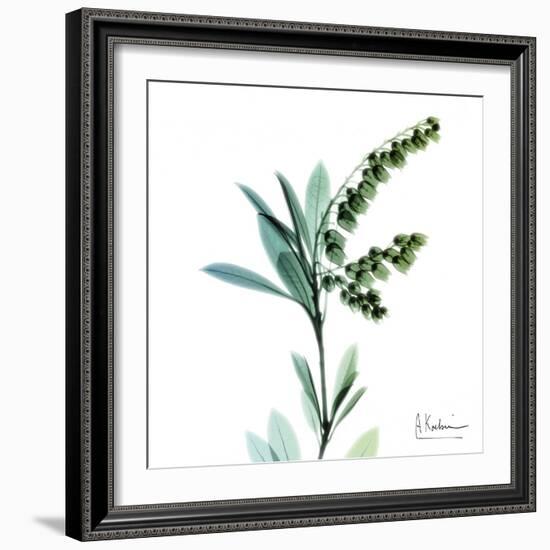 Lily of the Valley-Albert Koetsier-Framed Art Print