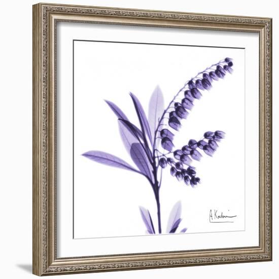 Lily of the Valley-Albert Koetsier-Framed Art Print