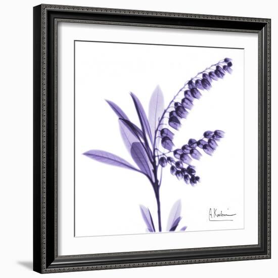 Lily of the Valley-Albert Koetsier-Framed Art Print