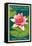 Lily Pad and Lotus - Kenilworth Aquatic Gardens-Lantern Press-Framed Stretched Canvas