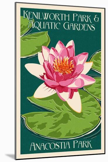 Lily Pad and Lotus - Kenilworth Aquatic Gardens-Lantern Press-Mounted Art Print