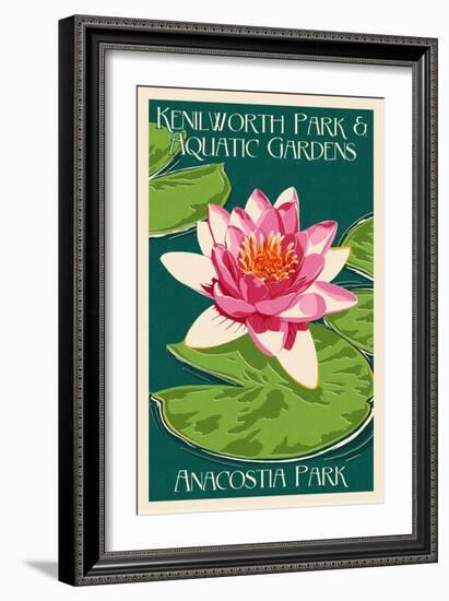 Lily Pad and Lotus - Kenilworth Aquatic Gardens-Lantern Press-Framed Art Print