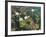 Lily Pad II-Elise Lunden-Framed Giclee Print