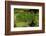 Lily Pad Pond-Steve Gadomski-Framed Photographic Print