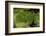 Lily Pad Pond-Steve Gadomski-Framed Photographic Print