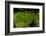 Lily Pad Pond-Steve Gadomski-Framed Photographic Print