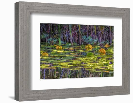 Lily Pads 1-Janet Slater-Framed Photographic Print