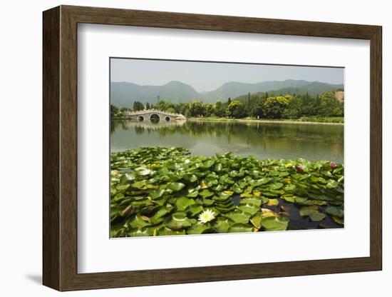 Lily Pads and a Arched Stone Bridge in Beijing Botanical Gardens, Beijing, China, Asia-Christian Kober-Framed Photographic Print