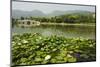 Lily Pads and a Arched Stone Bridge in Beijing Botanical Gardens, Beijing, China, Asia-Christian Kober-Mounted Photographic Print