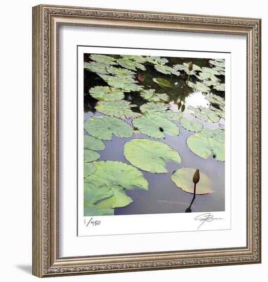 Lily Pads-Ken Bremer-Framed Limited Edition