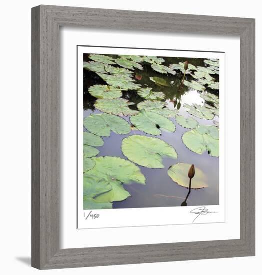 Lily Pads-Ken Bremer-Framed Limited Edition