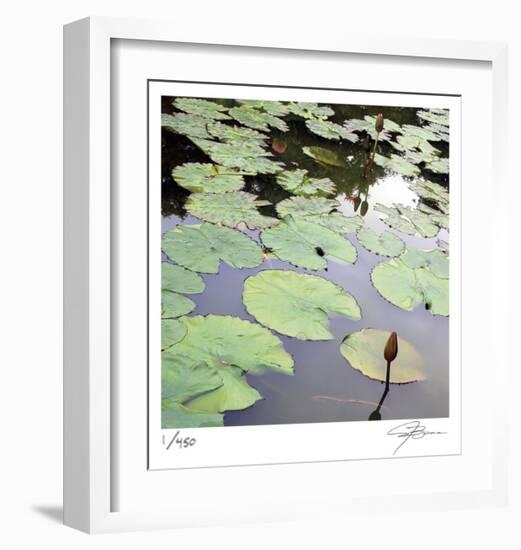 Lily Pads-Ken Bremer-Framed Limited Edition