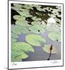 Lily Pads-Ken Bremer-Mounted Limited Edition