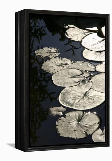 Lily Pads-K.B. White-Framed Premier Image Canvas