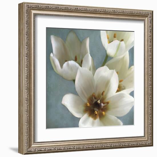 Lily Parfait II-Janel Pahl-Framed Giclee Print