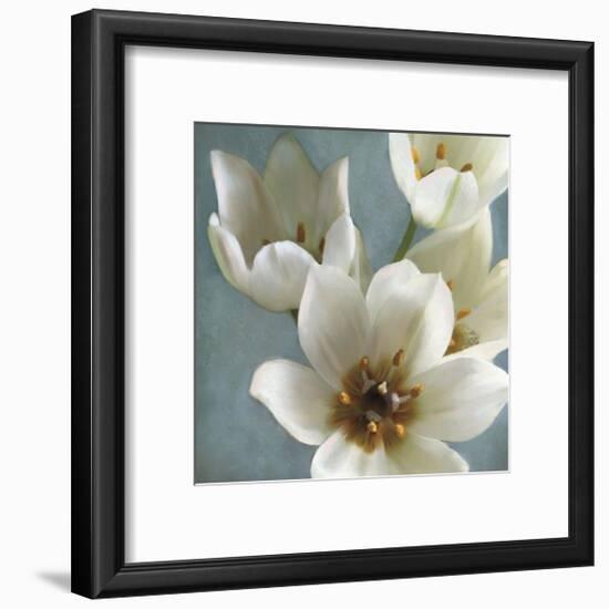 Lily Parfait II-Janel Pahl-Framed Giclee Print