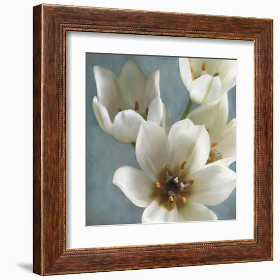 Lily Parfait II-Janel Pahl-Framed Giclee Print