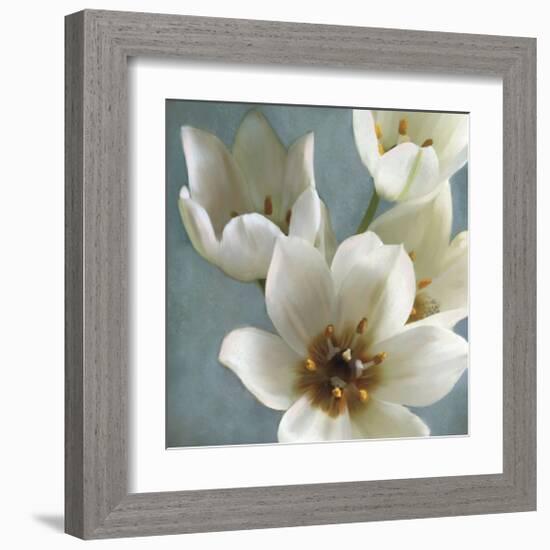 Lily Parfait II-Janel Pahl-Framed Giclee Print