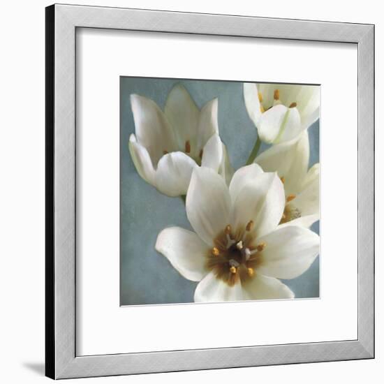 Lily Parfait II-Janel Pahl-Framed Giclee Print