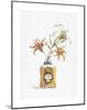 Lily Parfum-Lisa Danielle-Mounted Art Print