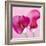 Lily Pink I-Joseph Eta-Framed Giclee Print