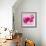 Lily Pink I-Joseph Eta-Framed Giclee Print displayed on a wall
