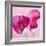 Lily Pink I-Joseph Eta-Framed Giclee Print