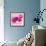 Lily Pink I-Joseph Eta-Framed Giclee Print displayed on a wall