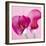 Lily Pink I-Joseph Eta-Framed Giclee Print