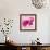 Lily Pink I-Joseph Eta-Framed Giclee Print displayed on a wall