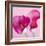 Lily Pink I-Joseph Eta-Framed Giclee Print