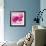 Lily Pink I-Joseph Eta-Framed Giclee Print displayed on a wall