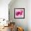 Lily Pink I-Joseph Eta-Framed Giclee Print displayed on a wall