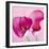 Lily Pink I-Joseph Eta-Framed Giclee Print