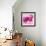 Lily Pink I-Joseph Eta-Framed Giclee Print displayed on a wall
