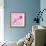 Lily Pink II-Joseph Eta-Framed Giclee Print displayed on a wall