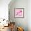 Lily Pink II-Joseph Eta-Framed Giclee Print displayed on a wall