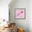 Lily Pink II-Joseph Eta-Framed Giclee Print displayed on a wall