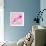 Lily Pink II-Joseph Eta-Framed Giclee Print displayed on a wall