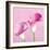 Lily Pink II-Joseph Eta-Framed Giclee Print