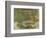 Lily Pond, 1881-Claude Monet-Framed Giclee Print